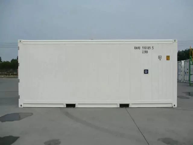 Contenedor Marítimo Refrigerado (Reefer) de 20 Pies - Condición Usado